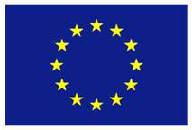 euroflag