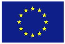 euroflag