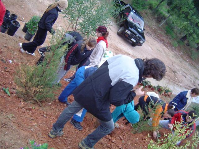 DSC00880