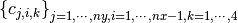 \left\{ c_{j,i,k} \right\}_{j=1,\cdots,ny, i=1,\cdots,nx-1, k=1,\cdots,4}