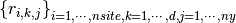 \left\{ r_{i,k,j} \right\}_{i=1,\cdots,nsite, k=1,\cdots,d, j=1,\cdots,ny}