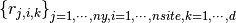 \left\{ r_{j,i,k} \right\}_{j=1,\cdots,ny, i=1,\cdots,nsite, k=1,\cdots,d}