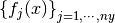 \left\{ f_j(x) \right\}_{j=1,\cdots,ny}