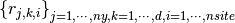 \left\{ r_{j,k,i} \right\}_{j=1,\cdots,ny, k=1,\cdots,d, i=1,\cdots,nsite}