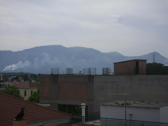 DSC01871